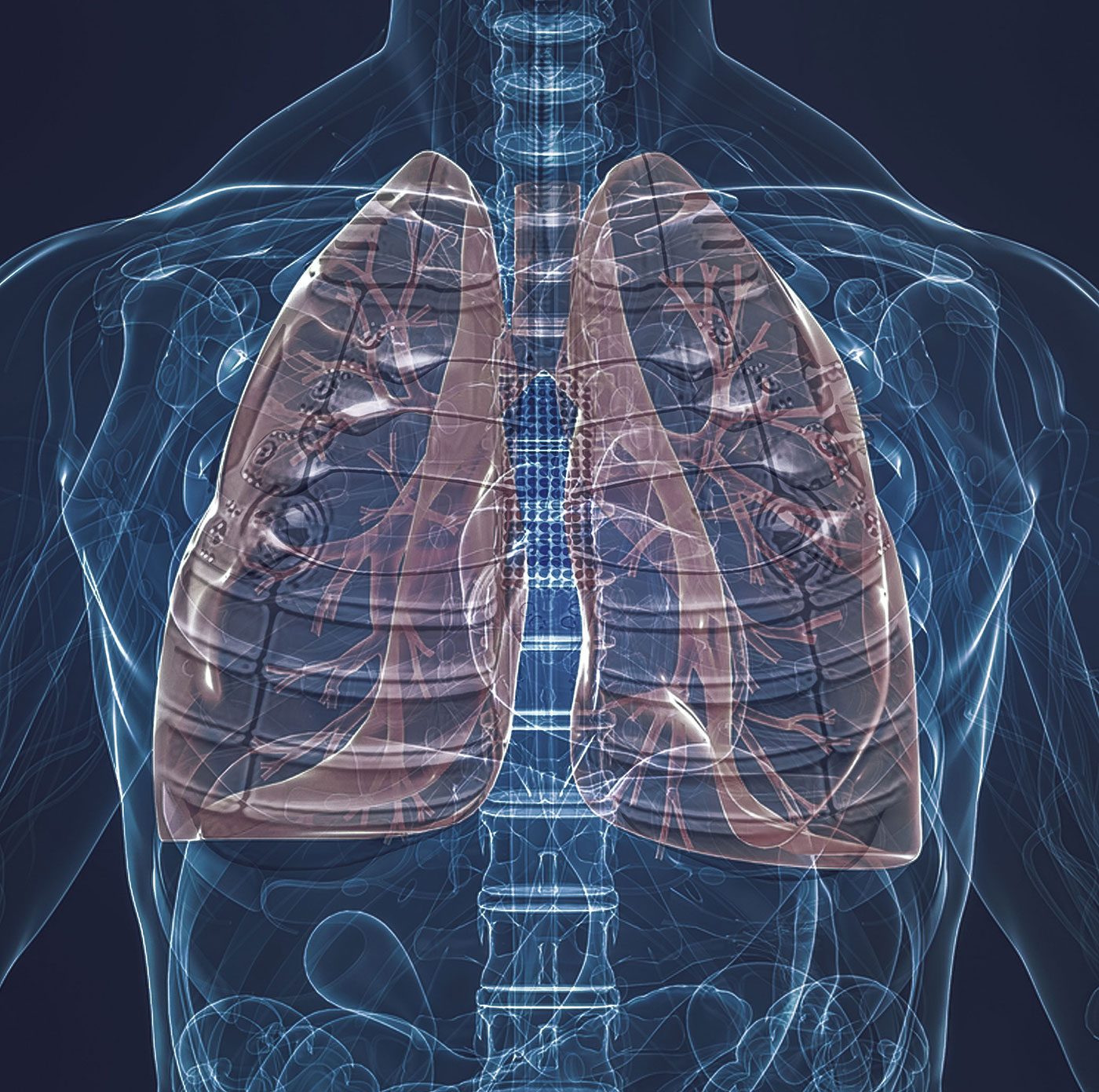 Enhanced lungs